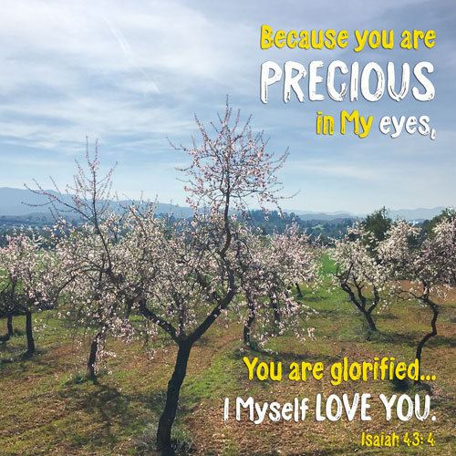 * You are precious - Isaiah 43 - blossoms - web