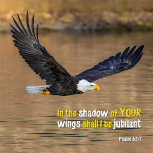 Psalm 63:7 - In the shadow of Your wings - Heaven's View Ministry