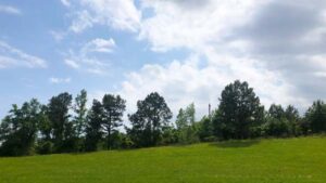 About Heaven's View Ministry - Testimonials - Grass Bank with Trees and Blue Sky with Clouds - LOUISIANA, USA