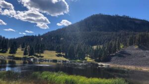 About Heaven's View Ministry - Testimonials - Lake with Pine Trees on Hills with Blue Skies and Puffy Clouds, MONTANA, USA