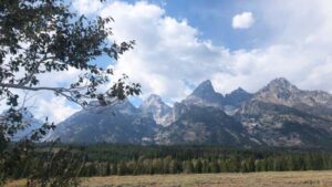 About Heaven's View Ministry - Healing Testimonials- BE HEALED TODAY - Mountains and Grassy Plains Pine Forest with Sky and Puffy Clouds - WYOMING, USA