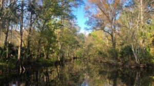 About Heaven's View Ministry - Testimonials - River Swamp and Trees - Florida, USA