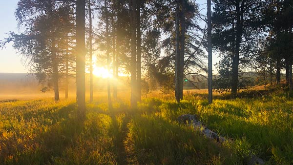 About Heaven's View Ministry - Testimonials - Sunset Mist Trees BLM Trail - Yellowstone - WYOMING, USA