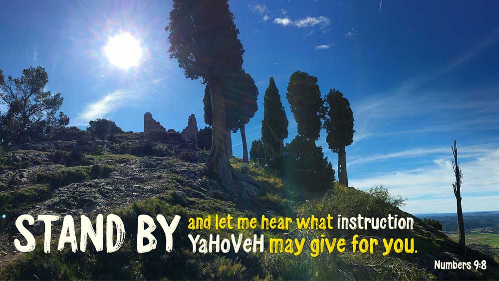 Numbers 9:8 - Stand by and let me hear what Yahweh may give for you - Heaven's View Ministry