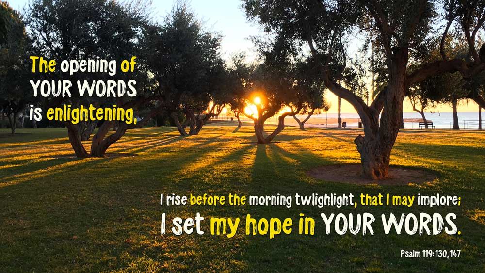 Psalm 119:130, 147 - I rise before the morning twilight, I set my hope in Your Word - Heaven's View Ministry