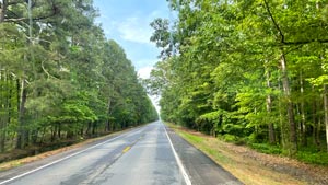 Heaven's View Ministry - Healing Testimonials - BE HEALED TODAY - Straight Treelined Road with Blue Sky - Arkansas, USA