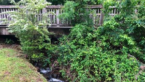 Heaven's View Ministry - Healing Testimonials - BE HEALED TODAY - Wooden Bridge over Creek, Little Rock, Arkansas, USA