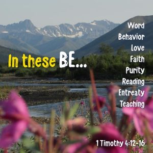 1 Timothy 4:12-16 - In these BE -Word, behavior, love, faith, purity, reading, entreaty, teaching - SCRIPTURE INSPIRATIONS at Heaven's View Ministry - by Tamra Jean