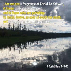 2 Corinthians 2:15-16 - Life to life and death to death - in late evening by Bucking Horse Lake in ALASKA - SCRIPTURE INSPIRATIONS at Heaven's View Ministry - by Tamra Jean