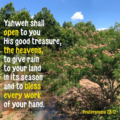 Deuteronomy 28:12 - Yahweh shall open to you His good treasure - Flowers in Poplar Bluff - MO, USA - SCRIPTURE INSPIRATIONS at Heaven's View Ministry - by Tamra Jean