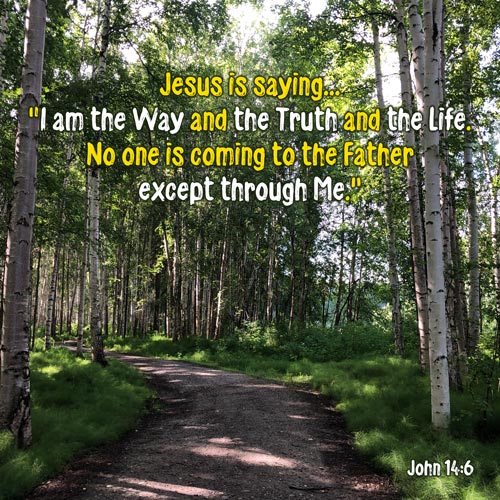 John 14:6 - I am the Way Truth Life - Birch Tree path - SCRIPTURE INSPIRATIONS at Heaven's View Ministry - by Tamra Jean