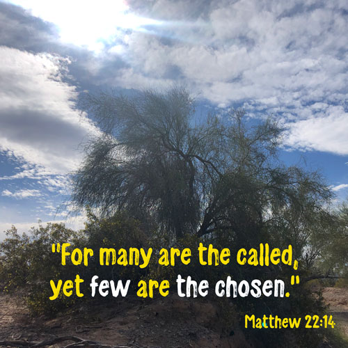 Matthew 22:14 - For many are the called yet few are the chosen - Tree in desert in Arizona - SCRIPTURE INSPIRATIONS at Heaven's View Ministry - by Tamra Jean