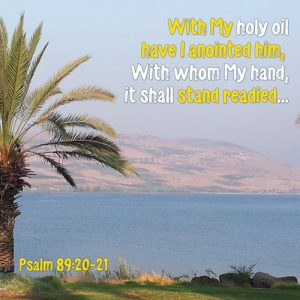 Psalm 89:20-21 - Holy oil anointed- Sea of Galilee - SCRIPTURE INSPIRATIONS at Heaven's View Ministry - by Tamra Jean