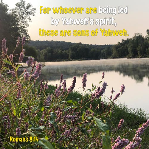 Romans 8:14 - Sons of Yahweh are led by Holy Spirit - Sunrise over Old Greenville River - Steam rising over Flowers - SCRIPTURE INSPIRATIONS at Heaven's View Ministry - by Tamra Jean