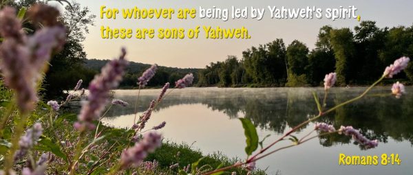 Romans 8:14 - Whoever are being led by Yahweh's Spirit, these are sons of Yahweh - Old Greenville River - with flowers - SCRIPTURE INSPIRATIONS at Heaven's View Ministry - by Tamra Jean