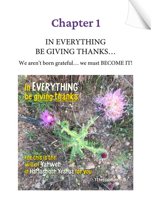 Chapter 1 - IN EVERYTHING BE GIVING THANKS - KEEPING THE FAITH through the UN-thinkable... by Tamra Jean - Heaven's View Ministry