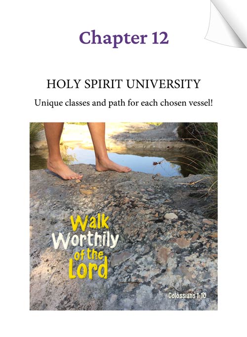 Chapter 12 (Audio) - HOLY SPIRIT UNIVERSITY - Unique classes and path for each chosen vessel! - KEEPING THE FAITH through the UN-thinkable... by Tamra Jean - Heaven's View Ministry