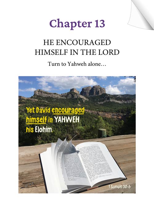 Chapter 13 (Audio) - HE ENCOURAGED HIMSELF IN THE LORD - Turn to Yahweh alone... - KEEPING THE FAITH through the UN-thinkable... by Tamra Jean - Heaven's View Ministry