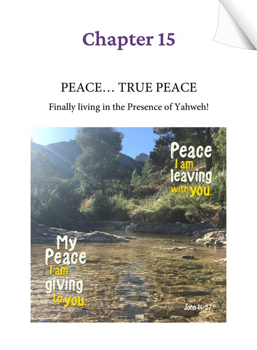 Chapter 15 (Audio) - PEACE... TRUE PEACE - Finally living in the Presence of Yahweh! - KEEPING THE FAITH through the UN-thinkable... by Tamra Jean - Heaven's View Ministry