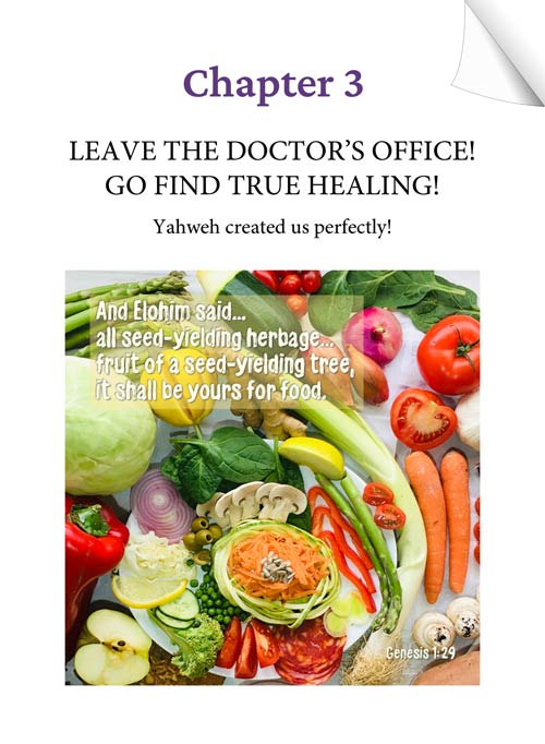 Chapter 3 (Audio) - LEAVE THE DOCTOR'S OFFICE! GO FIND TRUE HEALING! Yahweh created us perfectly! - KEEPING THE FAITH through the UN-thinkable... by Tamra Jean - Heaven's View Ministry
