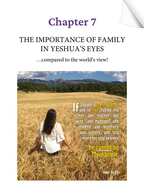 Chapter 7 (Audio) - THE IMPORTANCE OF FAMILY IN YESHUA'S EYES... compared to the world's view! - KEEPING THE FAITH through the UN-thinkable... by Tamra Jean - Heaven's View Ministry