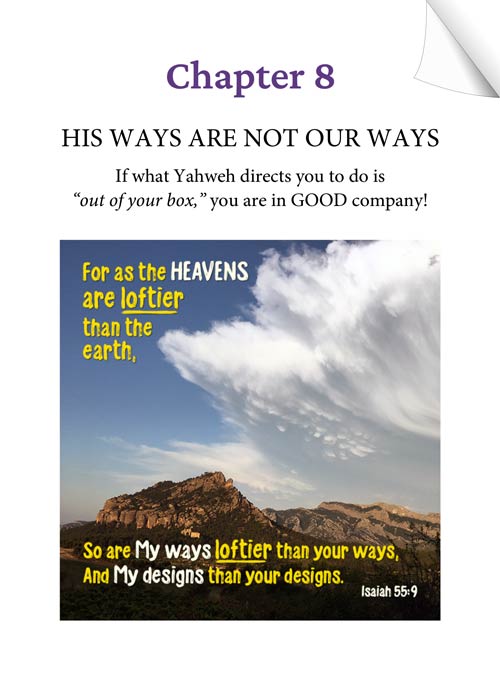 Chapter 8 (Audio) - HIS WAYS ARE NOT OUR WAYS! If what Yahweh directs you to do is "out of your box," you are in GOOD company! - KEEPING THE FAITH through the UN-thinkable... by Tamra Jean - Heaven's View Ministry