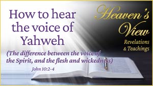 Heaven's View Ministry - Revelations and Teachings - Learning to hear the voice of Yahweh - John 10:2-4 - through Tamra Jean, Where The Spirit of the Lord is - Heaven's View Ministry