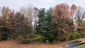 Heavens View Ministry - Divine Appointments - Autumn Trees Roadtrip - MARYLAND - Where the Spirit of the Lord is.