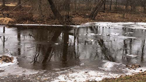 Heavens View Ministry - Divine Appointments - Winter Ice River with Trees Reflection - MARYLAND - Where the Spirit of the Lord is.