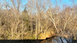 Heavens View Ministry - Divine Appointments - Creek with Trees on Roadtrip, SOUTH CAROLINA - Where the Spirit of the Lord is.