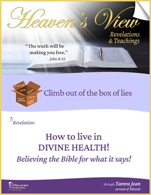 How to Live in Divine Health - Believing the Bible for what it says - Front Cover - Heaven's View Ministry - Revelations and Teachings - Testimony - through Tamra Jean, Where The Spirit of the Lord is. All Glory to Yahweh
