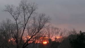 Heavens View Ministry - Divine Appointments -Sunset through Trees, Waycross GEORGIA - Where the Spirit of the Lord is.