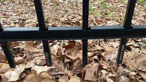 Heavens View Ministry - Divine Appointments - Dead Leaves with "Prison" effect Railings at Bridgeport - ALABAMA - Where the Spirit of the Lord is.