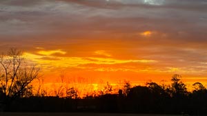 Heavens View Ministry - Divine Appointments - Sunsrise Horizon of Trees -Waycross, GEORGIA - Where the Spirit of the Lord is.