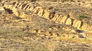 Heavens View Ministry - Divine Appointments - Roadtrip UGLY Mud Rillet - MISSISSIPPI - Where the Spirit of the Lord is.