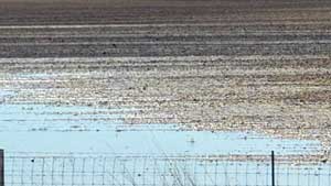 Heavens View Ministry - Divine Appointments - Ugly Waterlogged Farmer Mud Field - INDIANA - Where the Spirit of the Lord is.