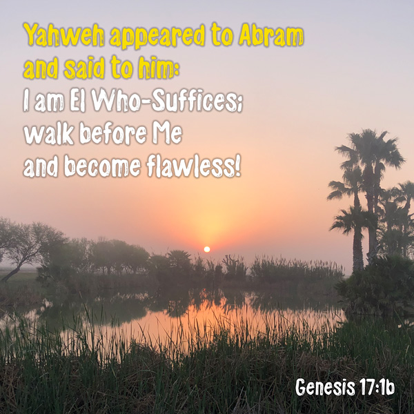 Genesis 17_1b - walk before Me and become flawless - sunrise in fog pond palmtrees - SOUTH Texas - Heavens View (WEB 600px by Q80)