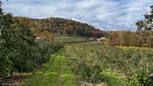Heavens View Ministry - Divine Appointments - Apple Orchard Farm in the Fall -South East PENNSYLVANIA - Where the Spirit of the Lord is