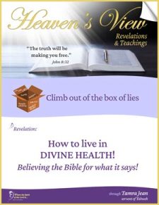 How to Live in Divine Health - Believing the Bible for what it says - Front Cover - Heaven's View Ministry - Revelations and Teachings - Testimony - through Tamra Jean, Where The Spirit of the Lord is. All Glory to Yahweh