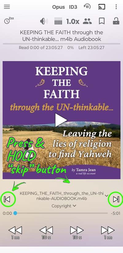 Smart Audiobook Player App - 8. Finding chapters in KEEPING THE FAITH through the UN-thinkable... - Heaven's View Ministry
